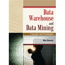 data-warehouse-and-data-mining-concepts-and-techniques